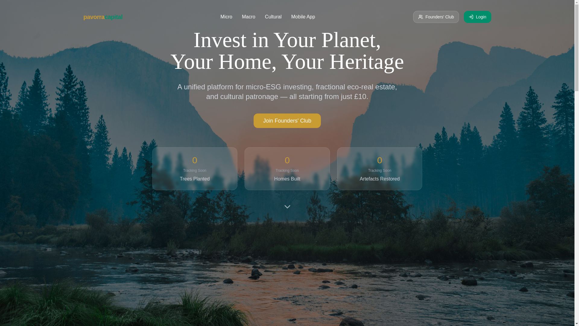 website screenshot of https://pavorracapital.com/