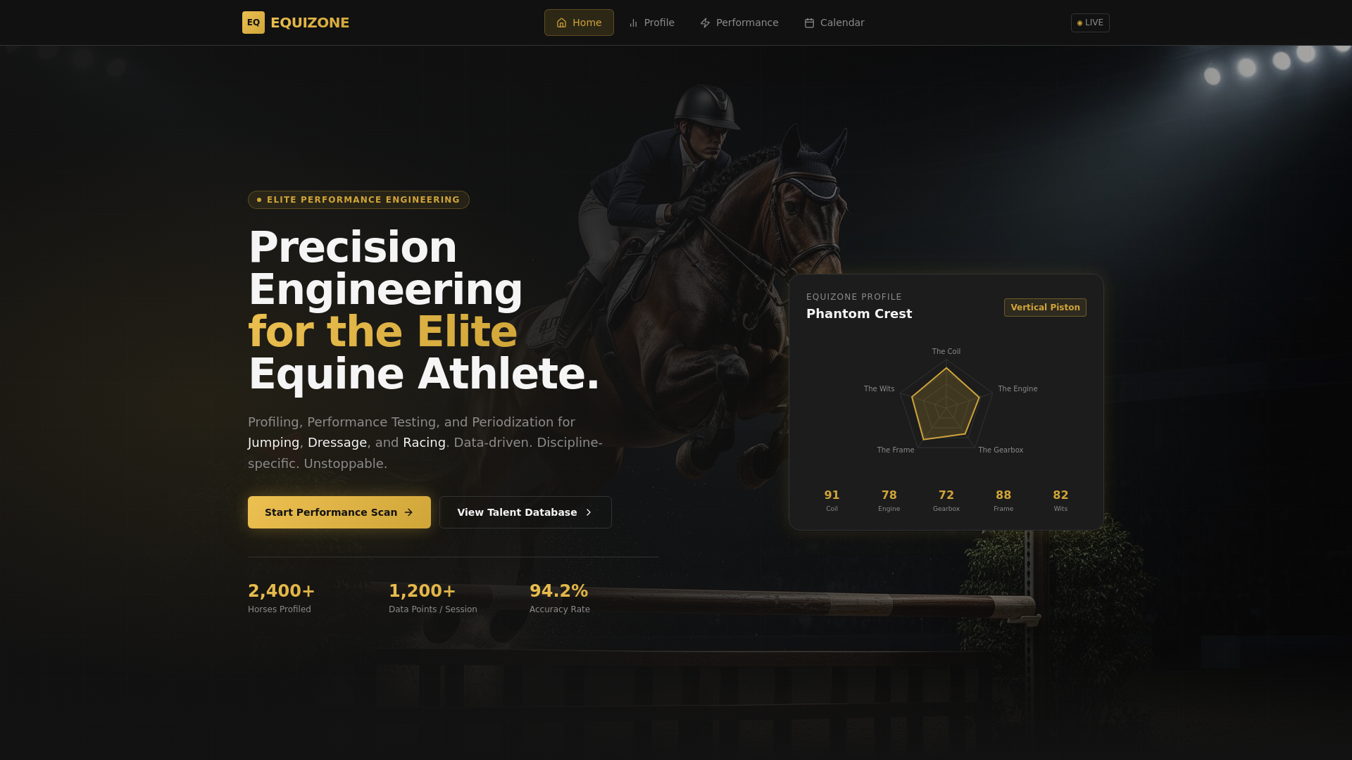 website screenshot of https://equizonegypt.com/