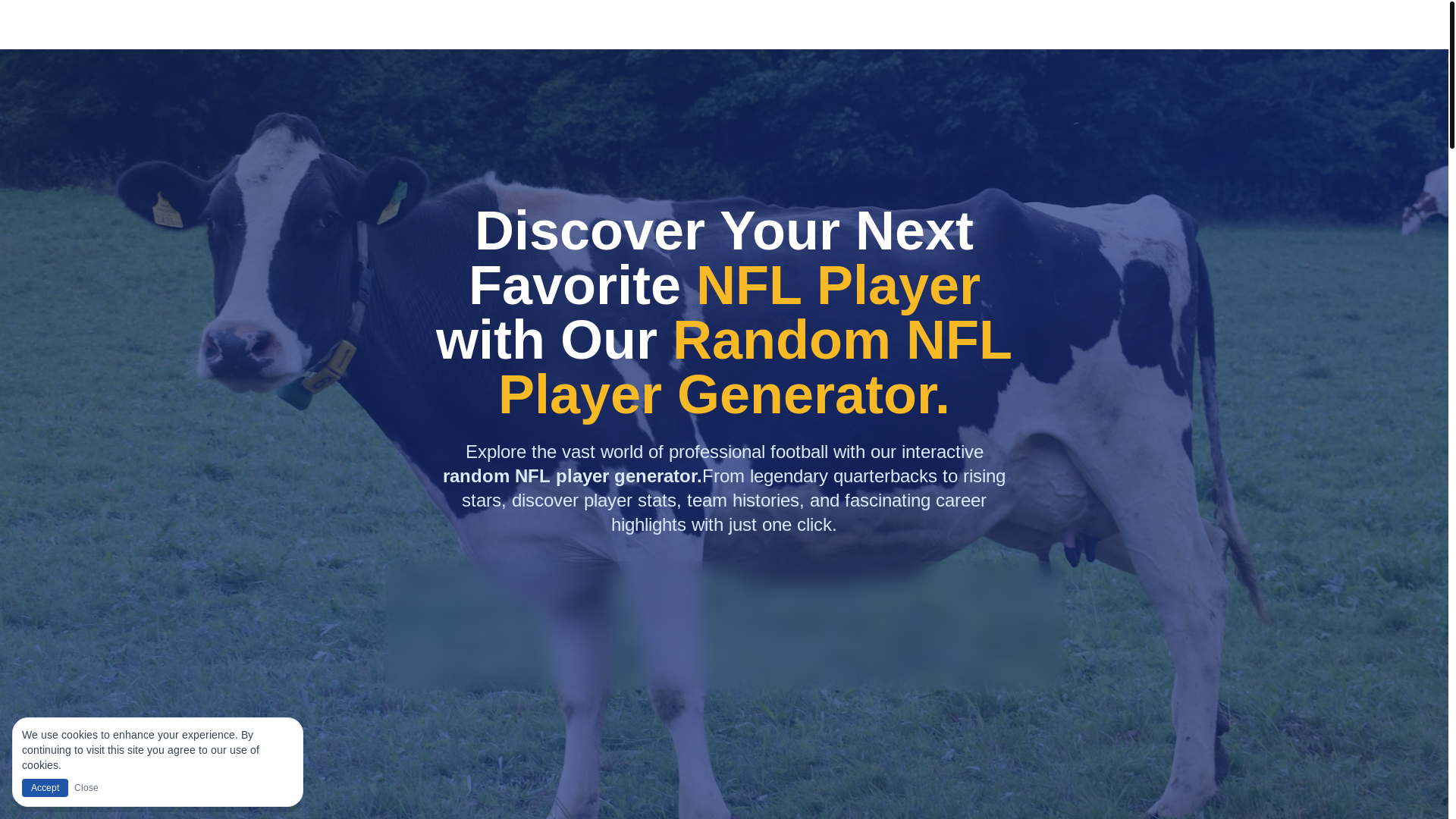 website screenshot of https://randomnflplayergenerator.pages.dev/