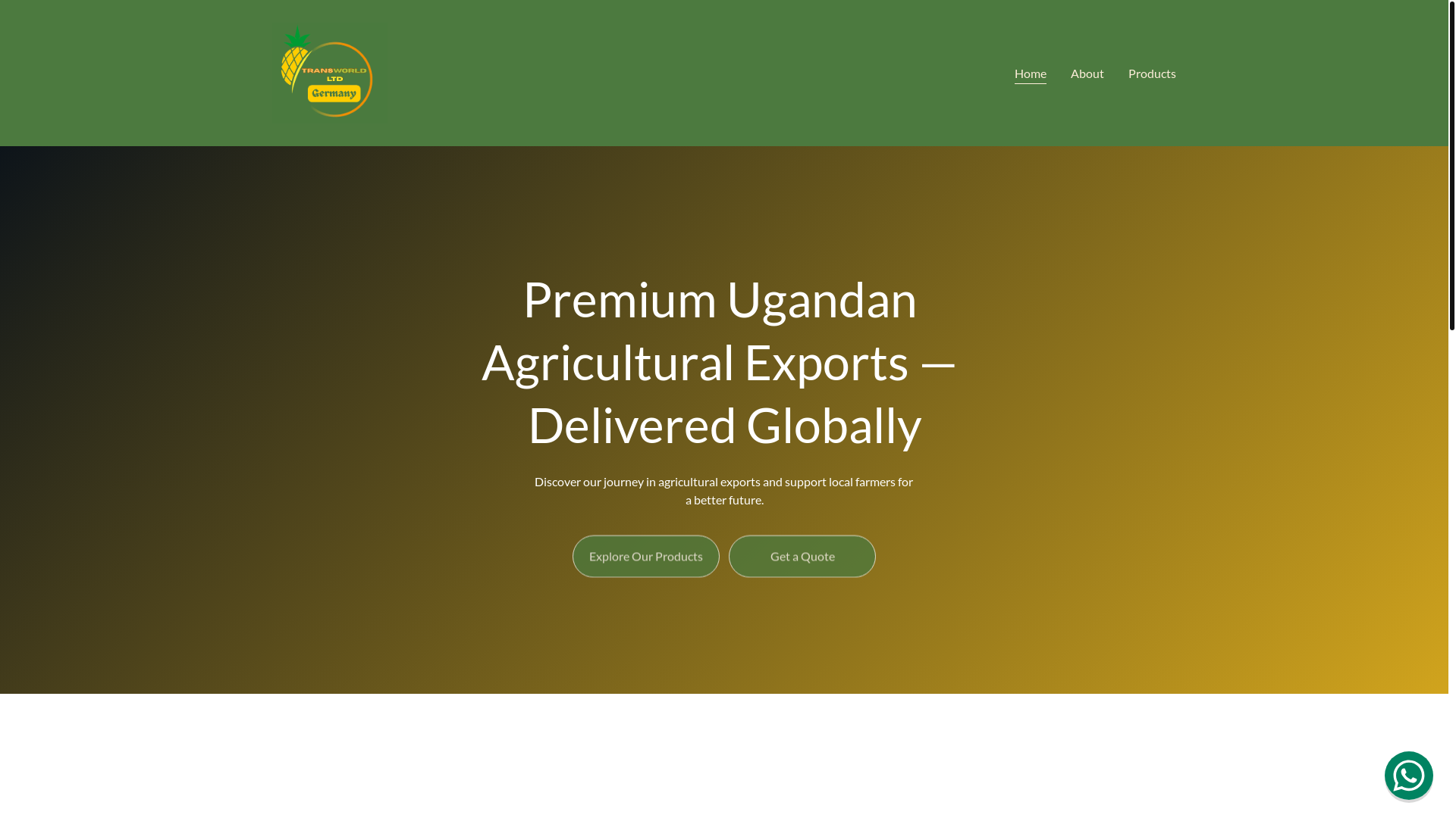 website screenshot of https://transworldltdgermany.com/