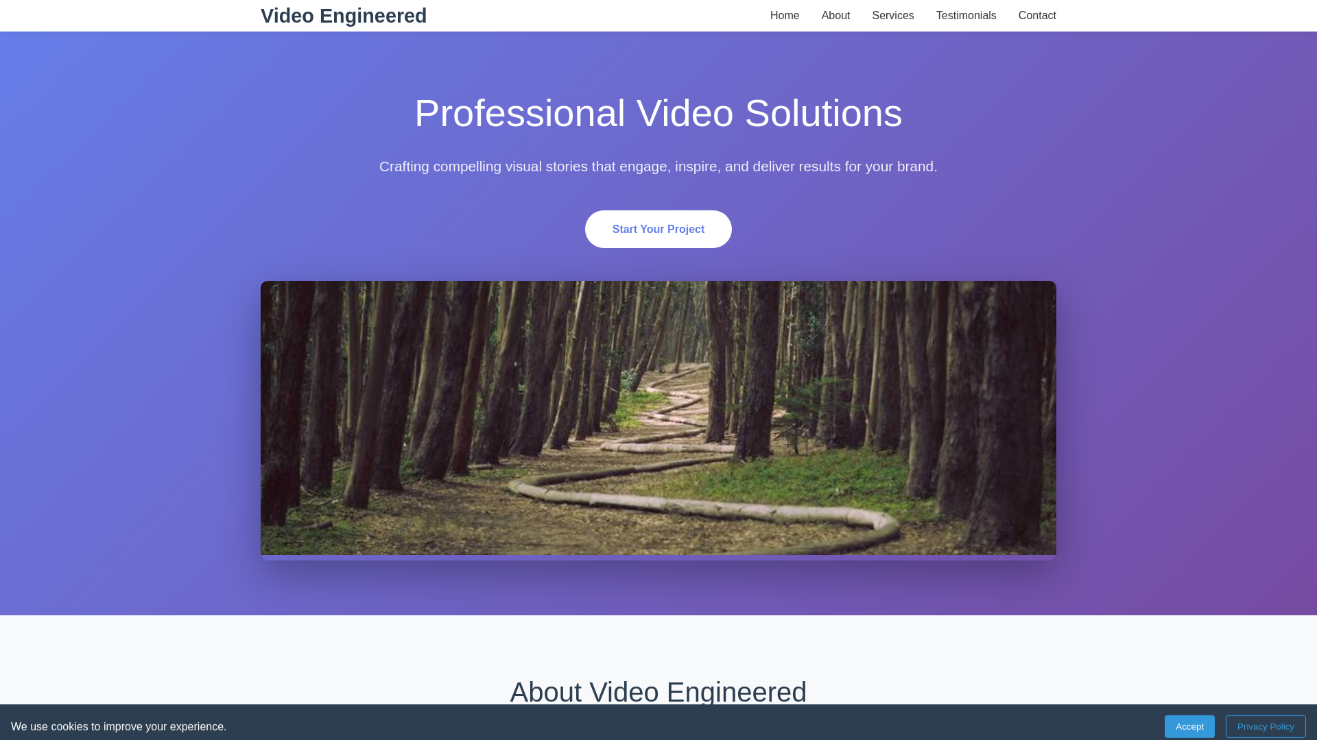 website screenshot of https://videoengineered.xyz/