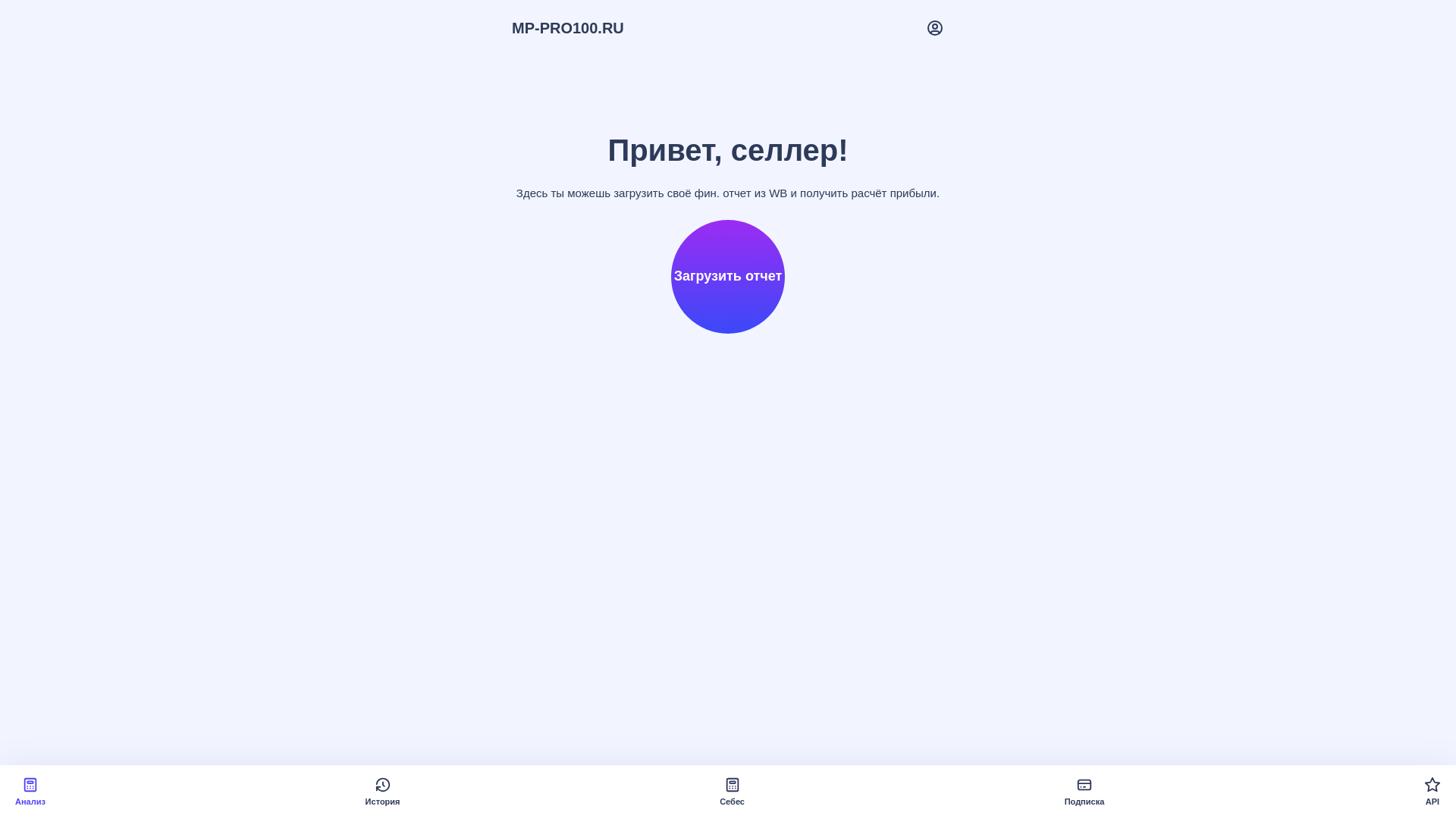 website screenshot of https://mppro100.ru/