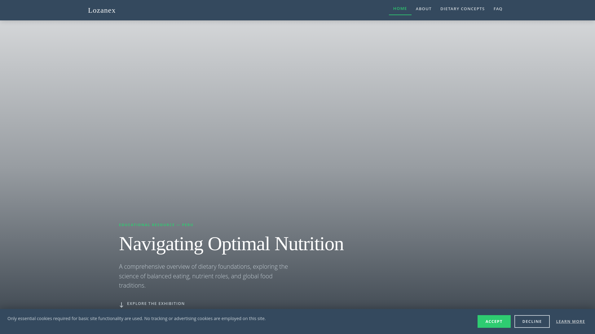 website screenshot of https://lozanexlu.info/