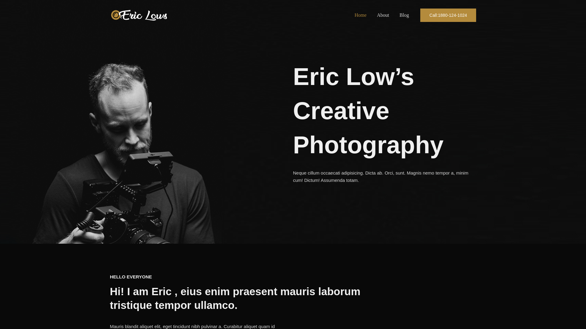 website screenshot of https://greybirdarchive.com/