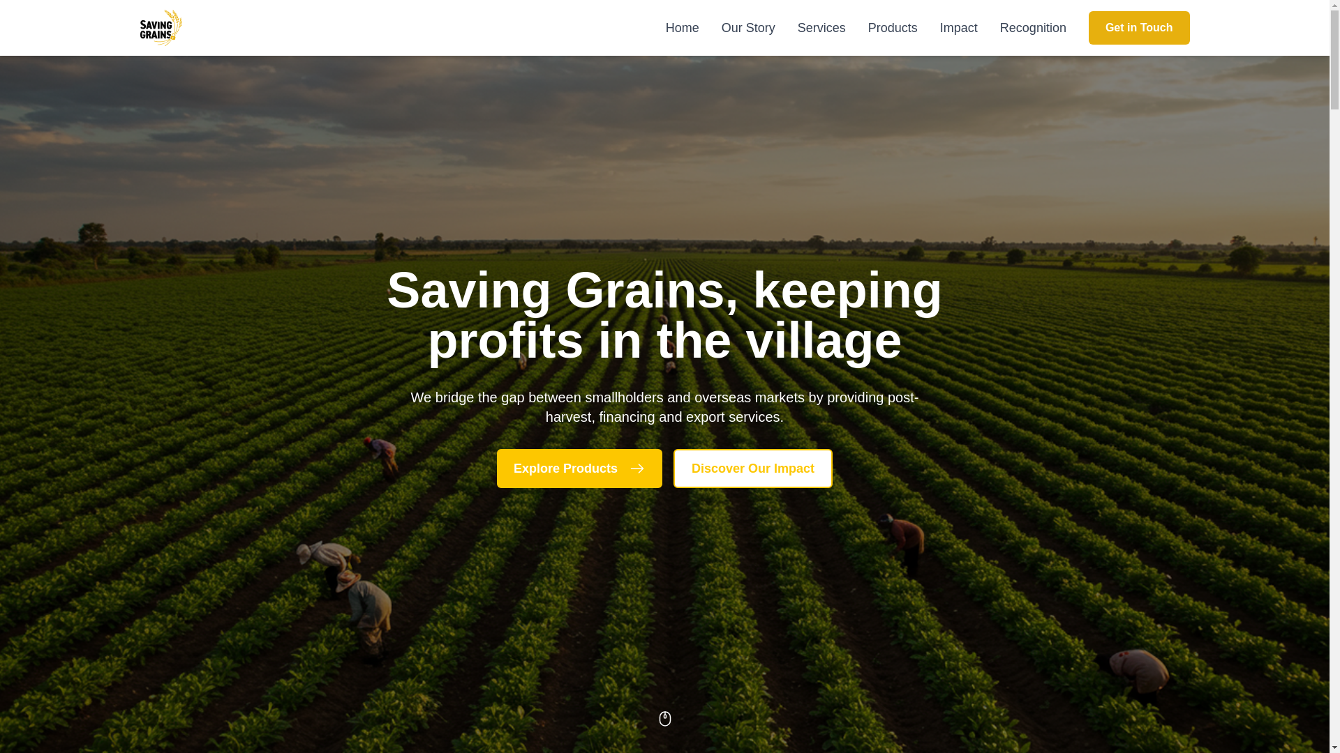 website screenshot of https://saving-grains-website.pages.dev/