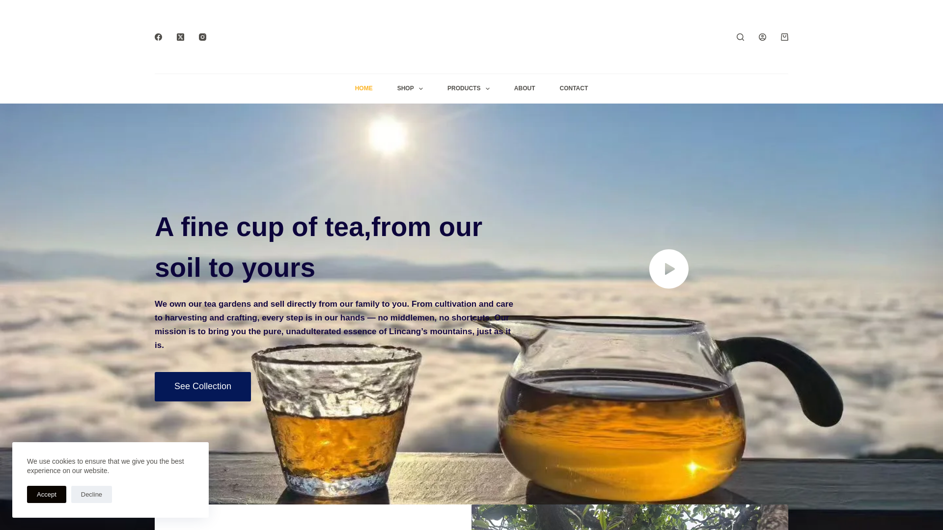 website screenshot of https://lynn-tea.com/