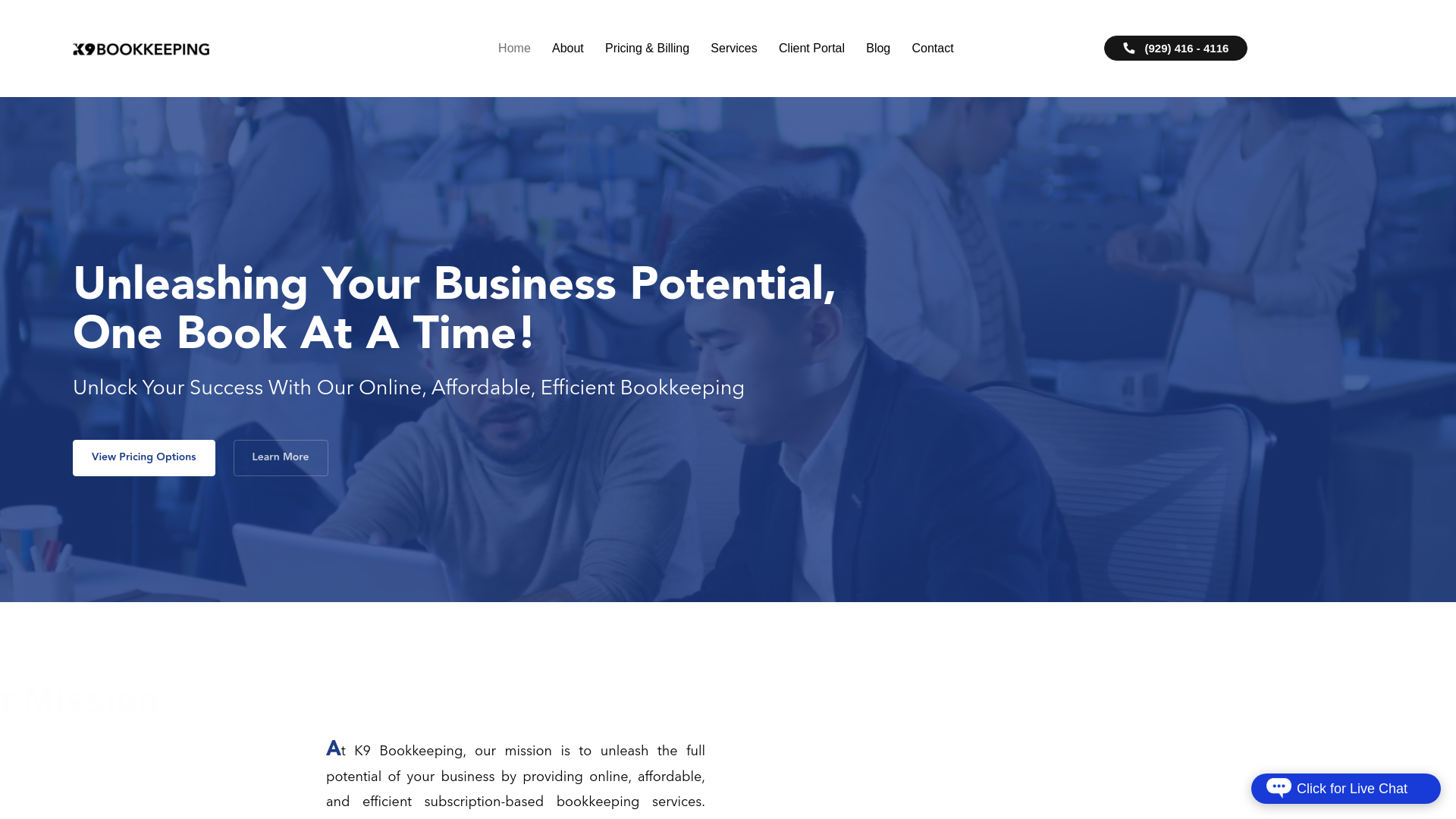 website screenshot of https://k9bookkeepingapp.com/