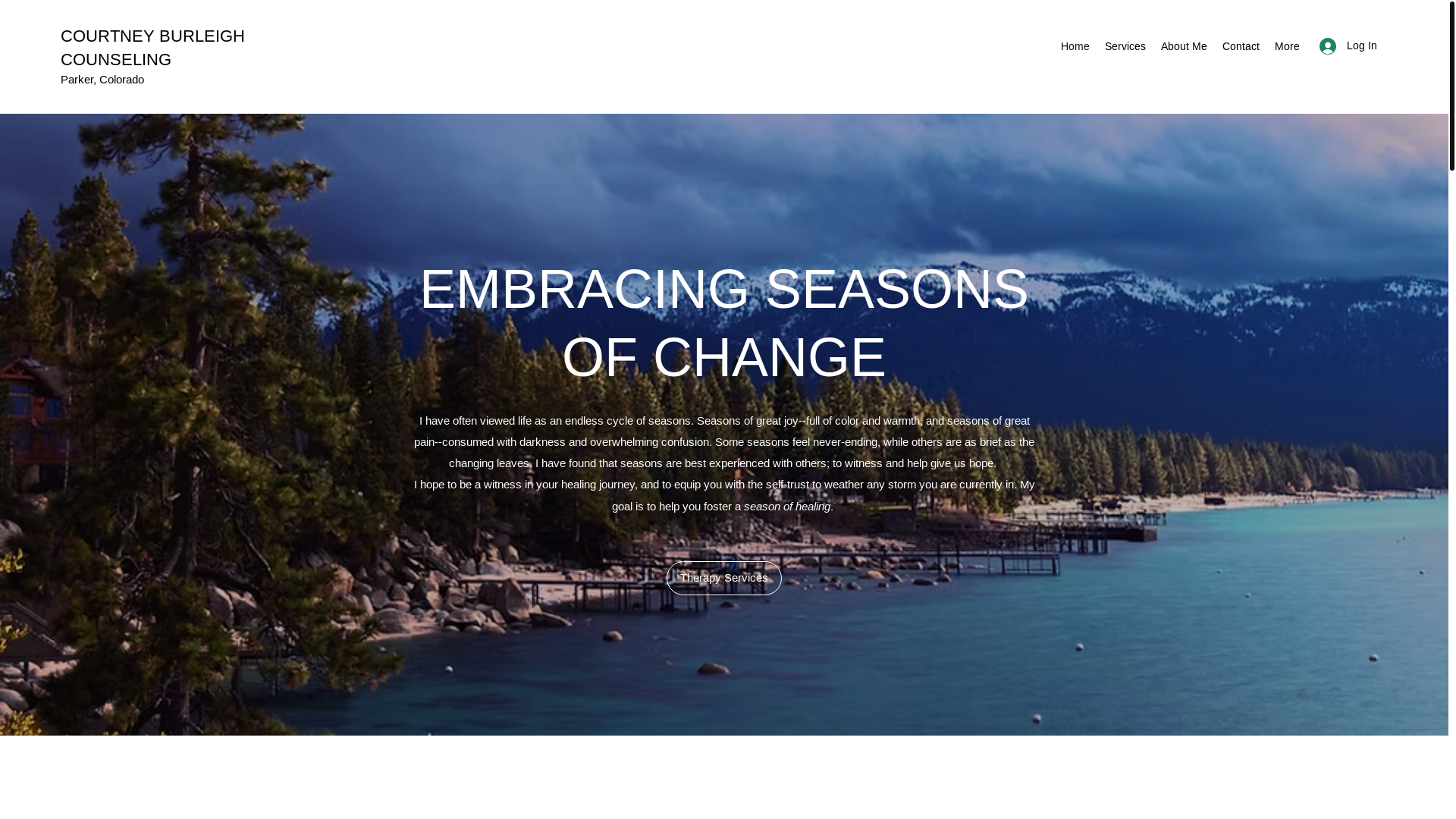 website screenshot of https://seasonstherapyco.com/