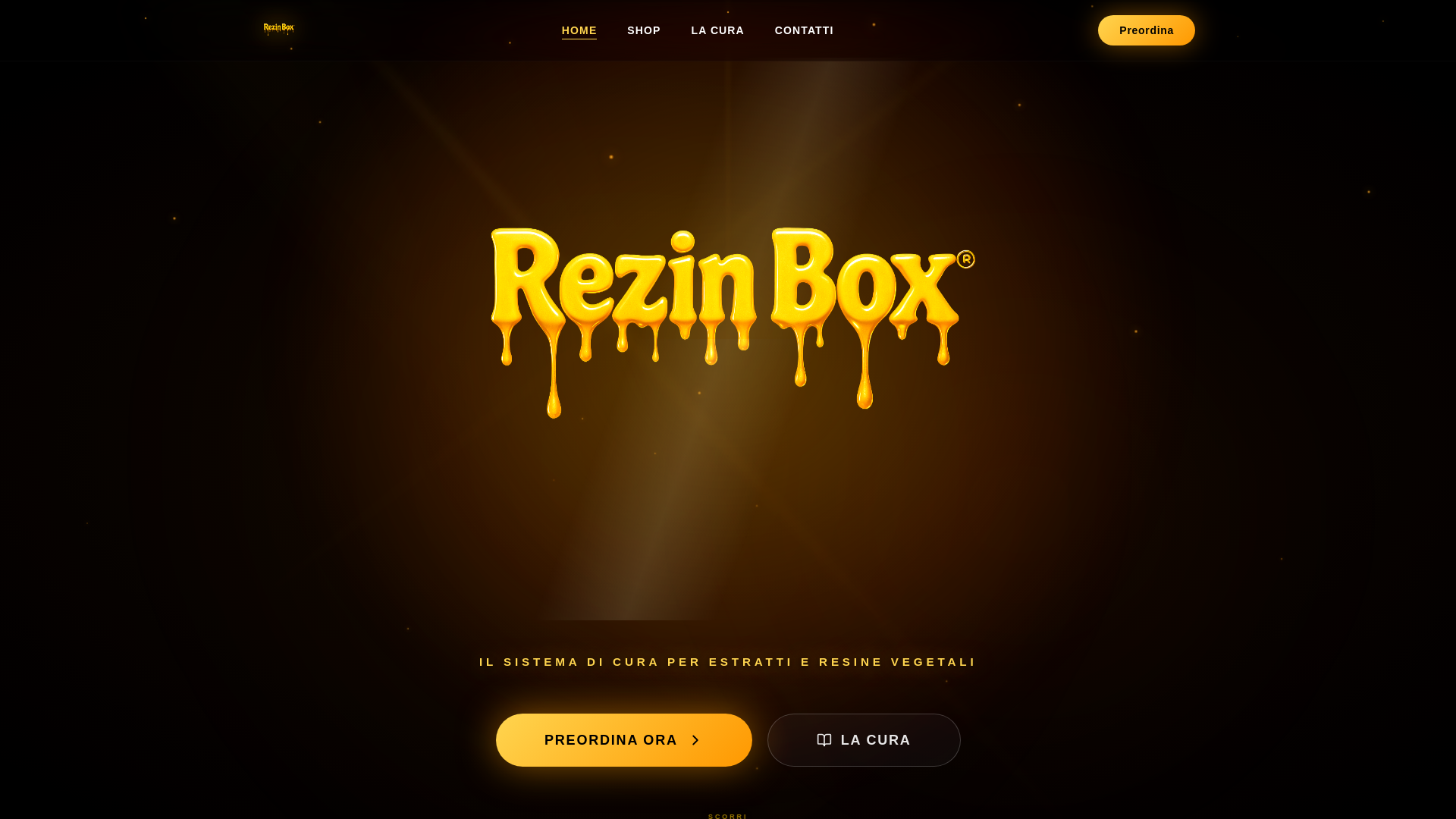 website screenshot of https://rezinbox.net/