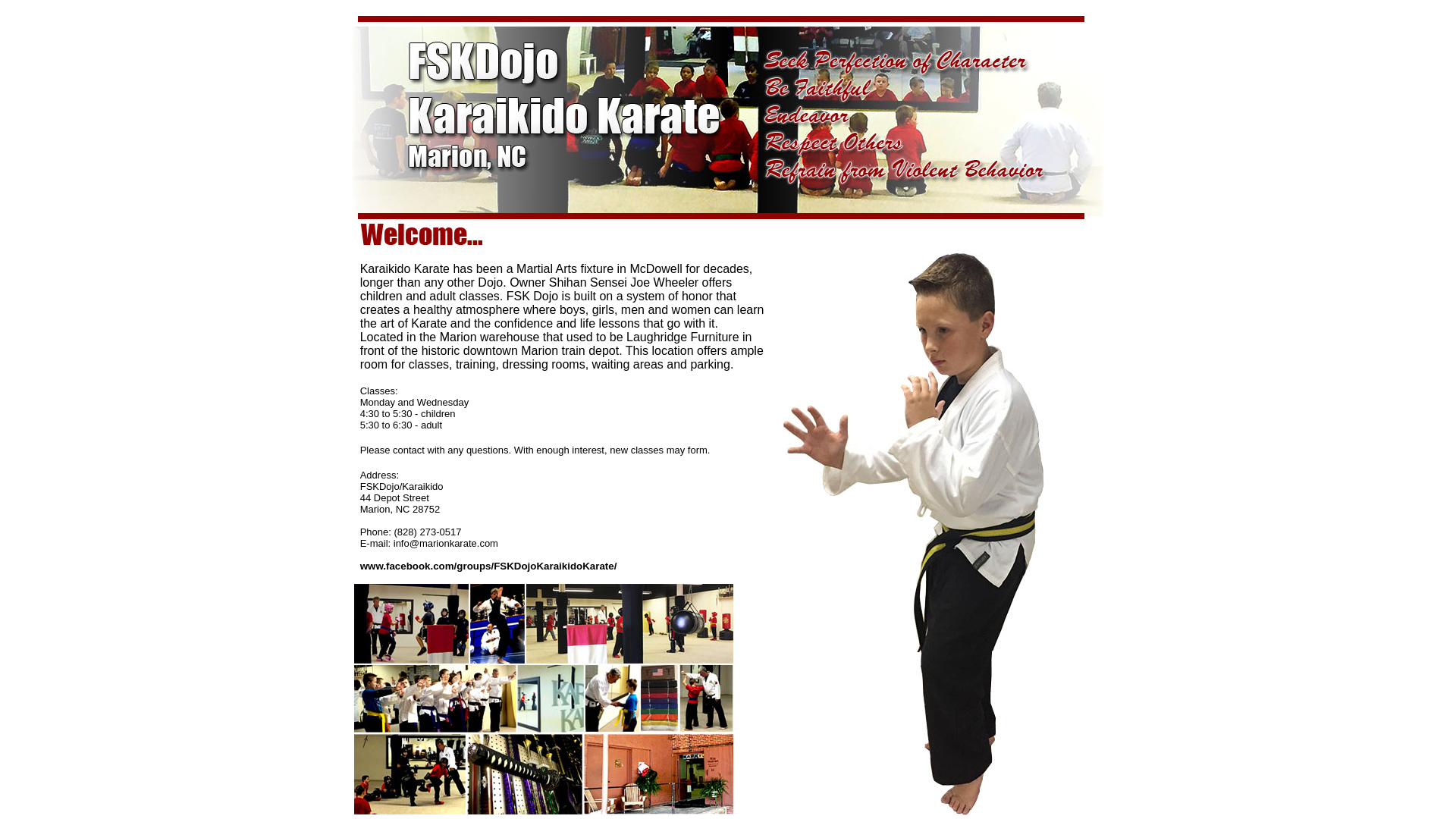 website screenshot of https://marionkarate.com/