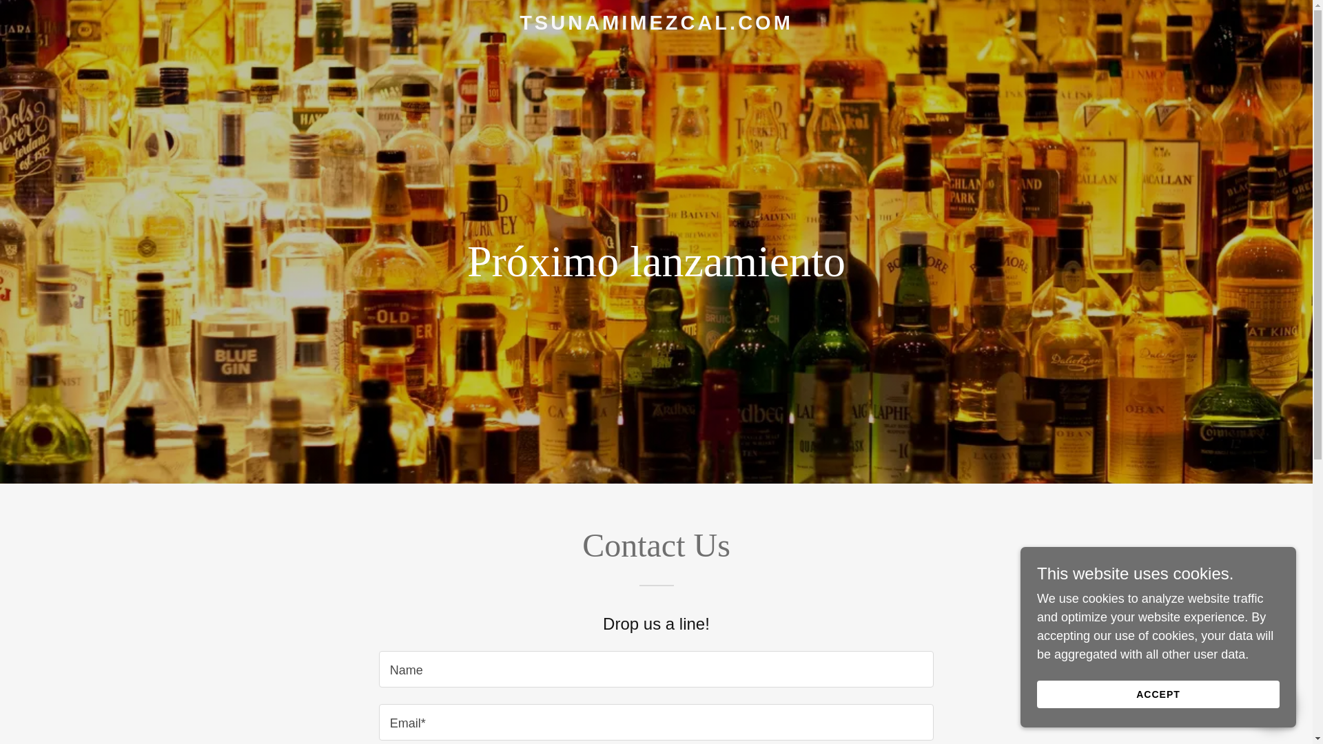 website screenshot of https://tsunamimezcal.com.mx/