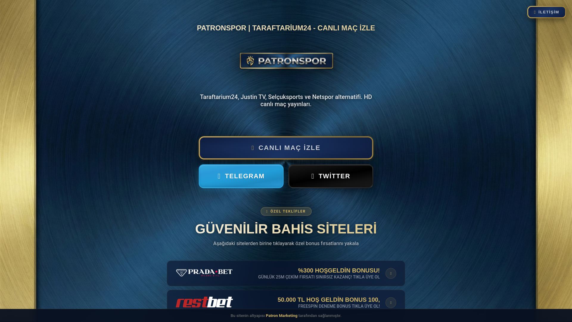 website screenshot of https://patronizle2.cfd/