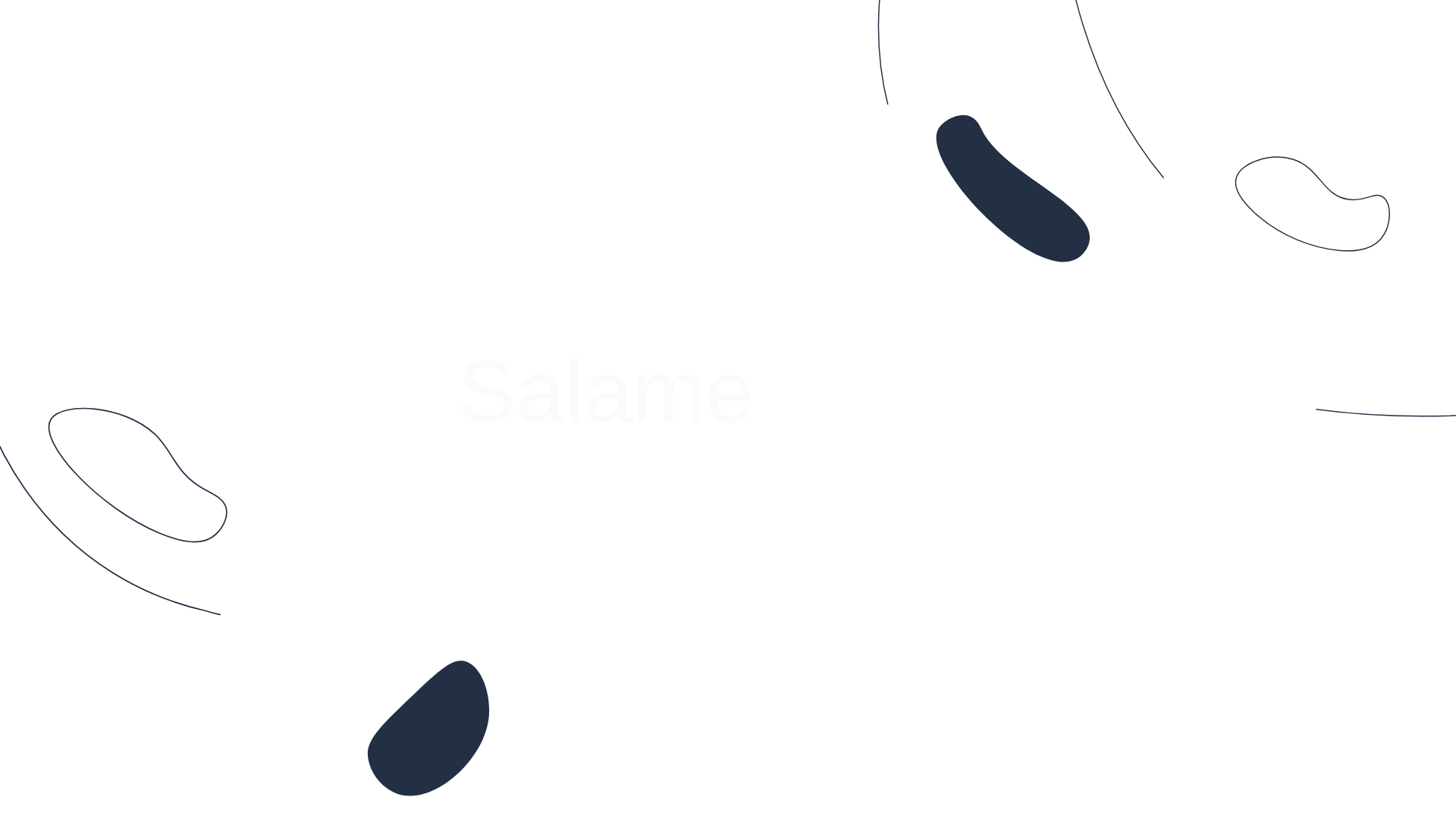 website screenshot of https://wsalame.com/