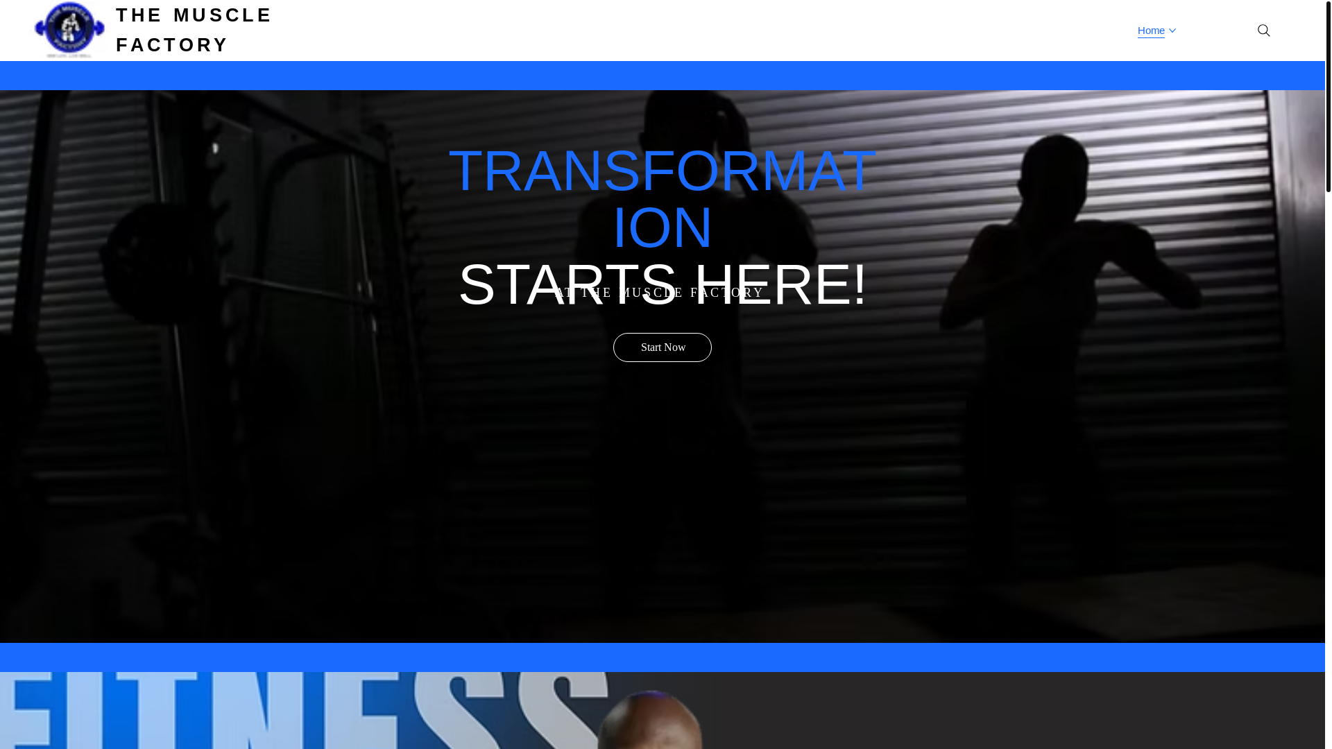 website screenshot of https://themusclefactory.cw/