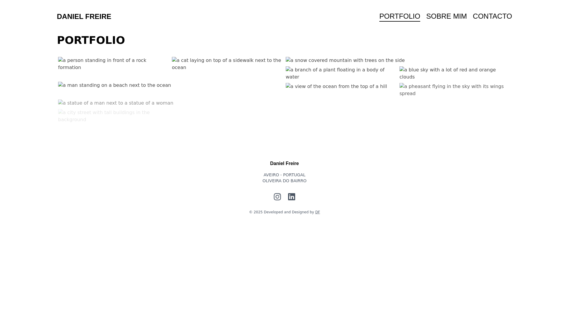 website screenshot of https://danielfreire.eu/