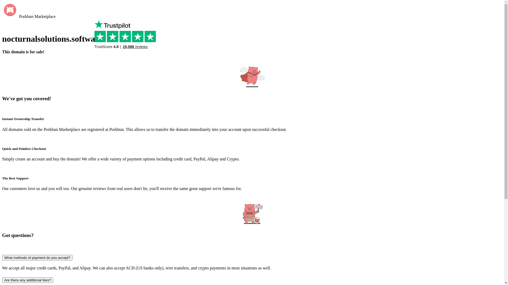 website screenshot of https://nocturnalsolutions.software/