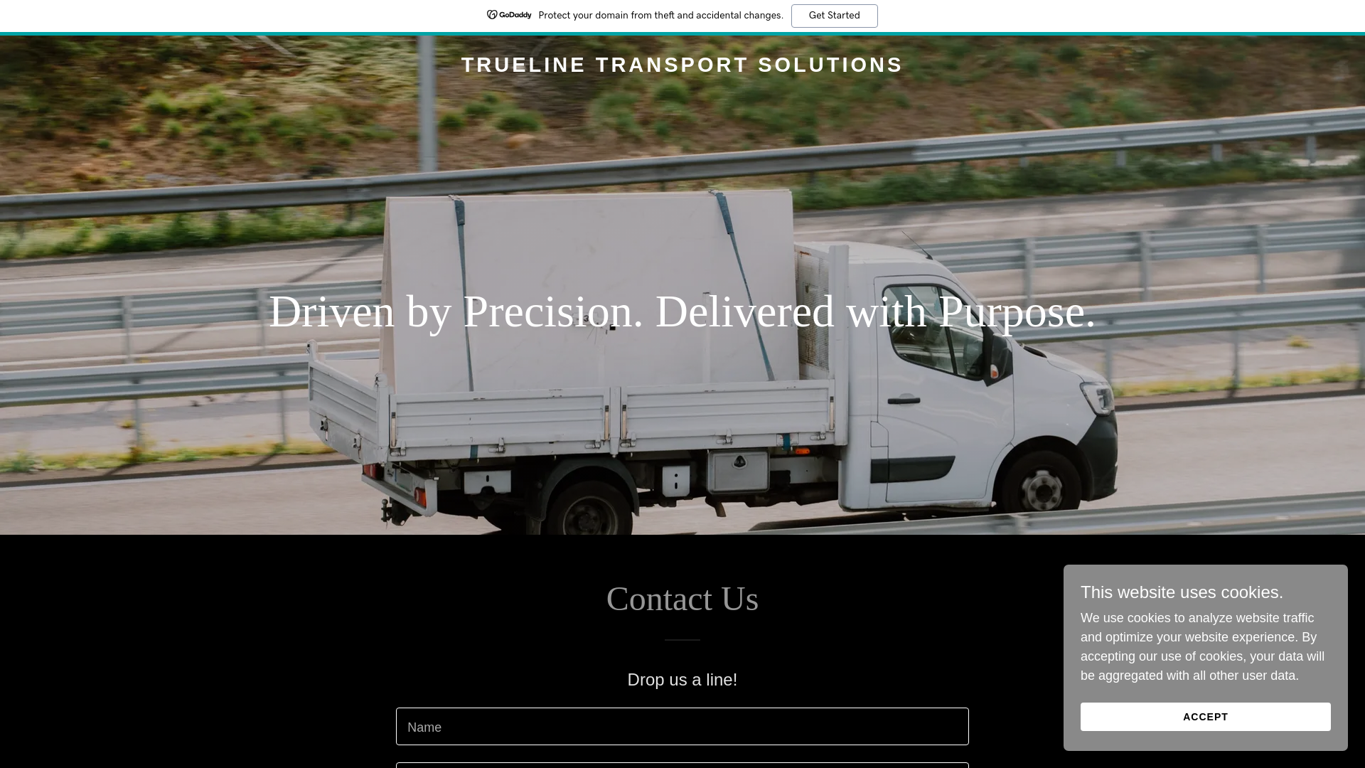 website screenshot of https://truelinetransportsolutions.com/