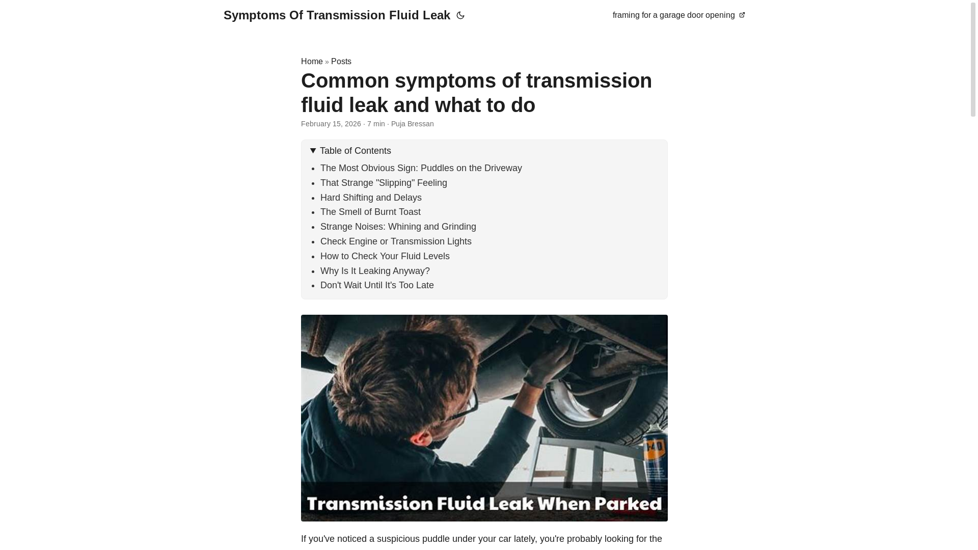 website screenshot of https://symptoms-of-transmission-fluid-leak.pages.dev/