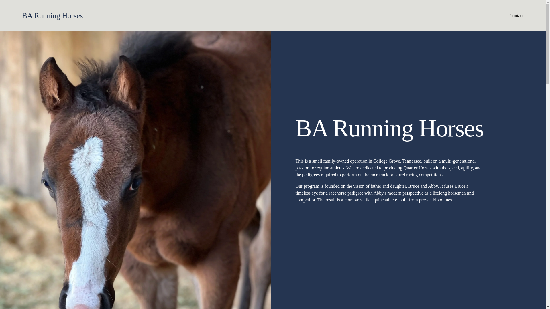 website screenshot of https://barunninghorses.com/