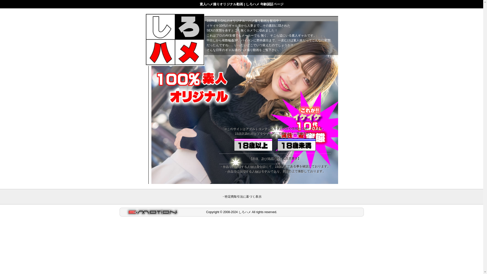 website screenshot of https://test-siro-hame.net/