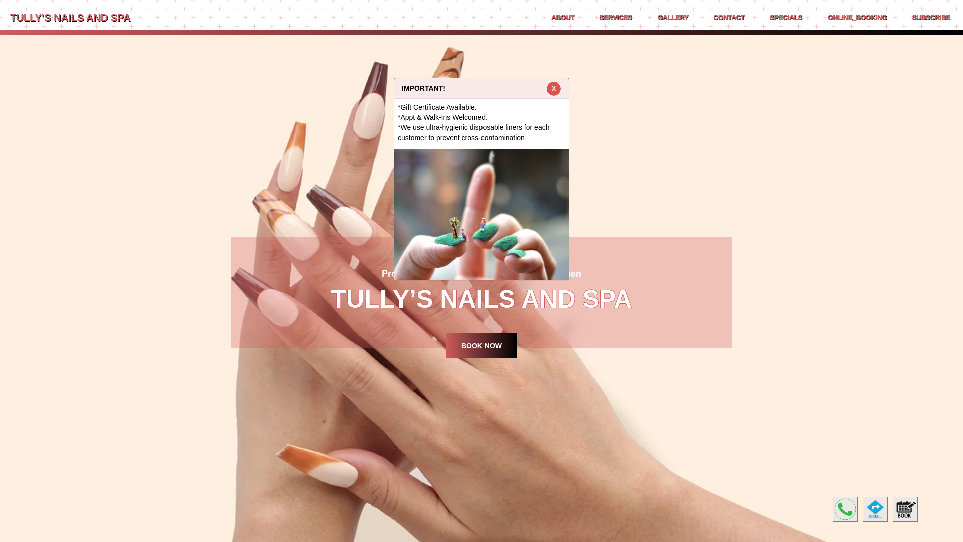 website screenshot of https://tullysnailsnspa.com/