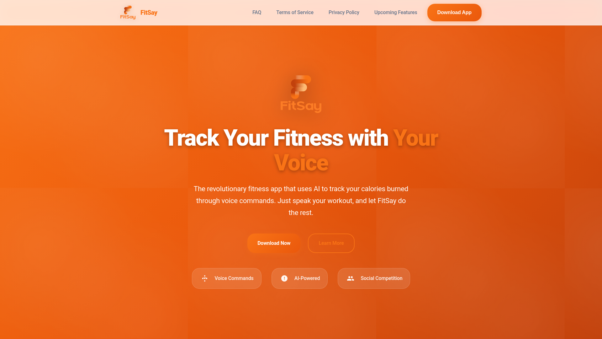 website screenshot of https://fitsay.site/