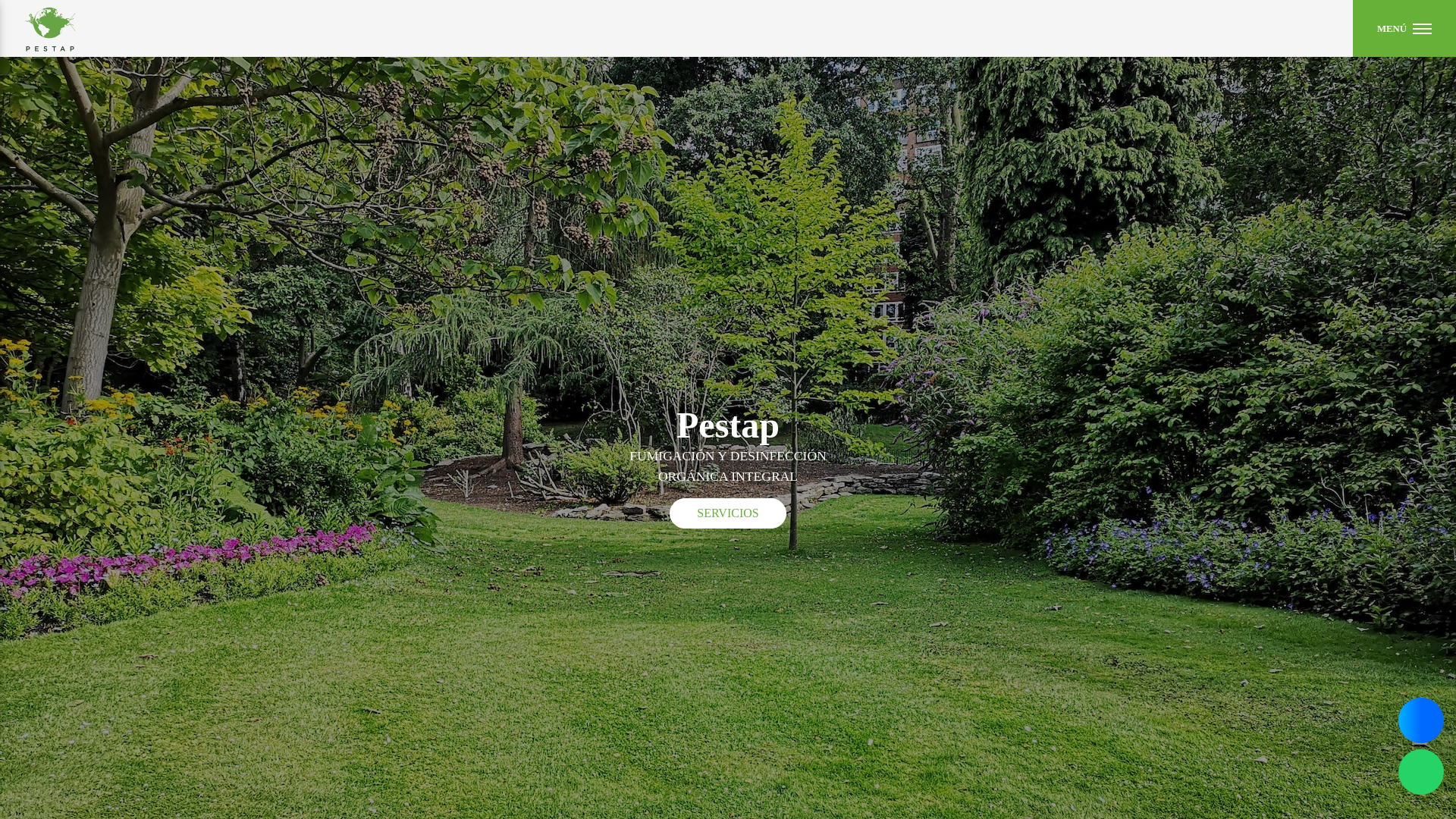 website screenshot of https://pestapmx.com