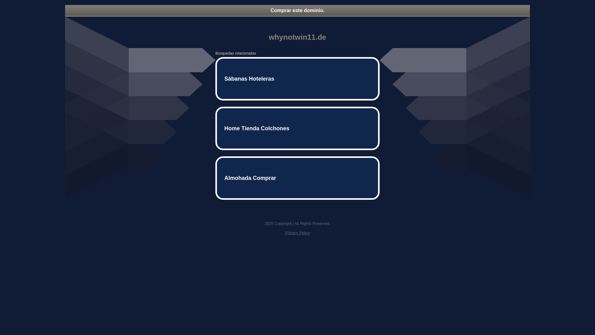 website screenshot of https://whynotwin11.de/