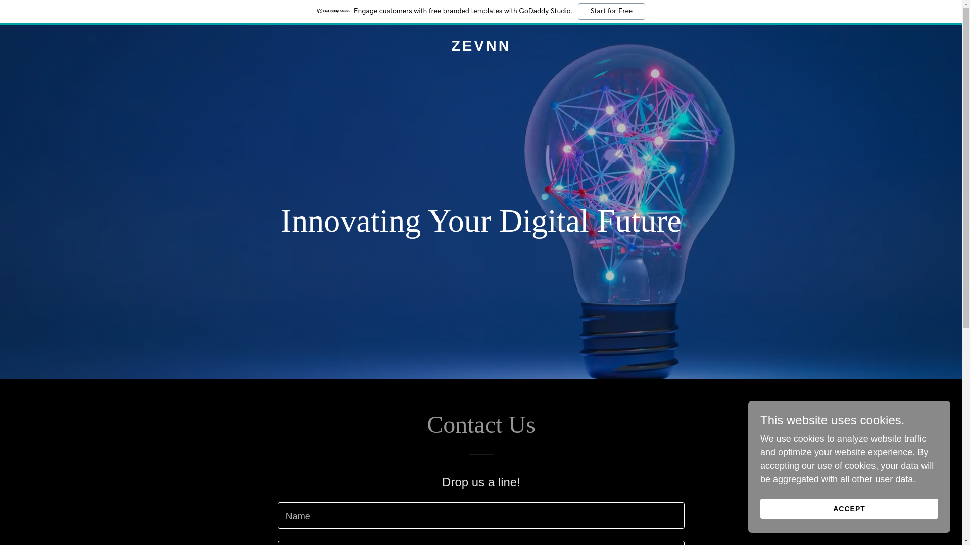 website screenshot of https://zevnn.com/