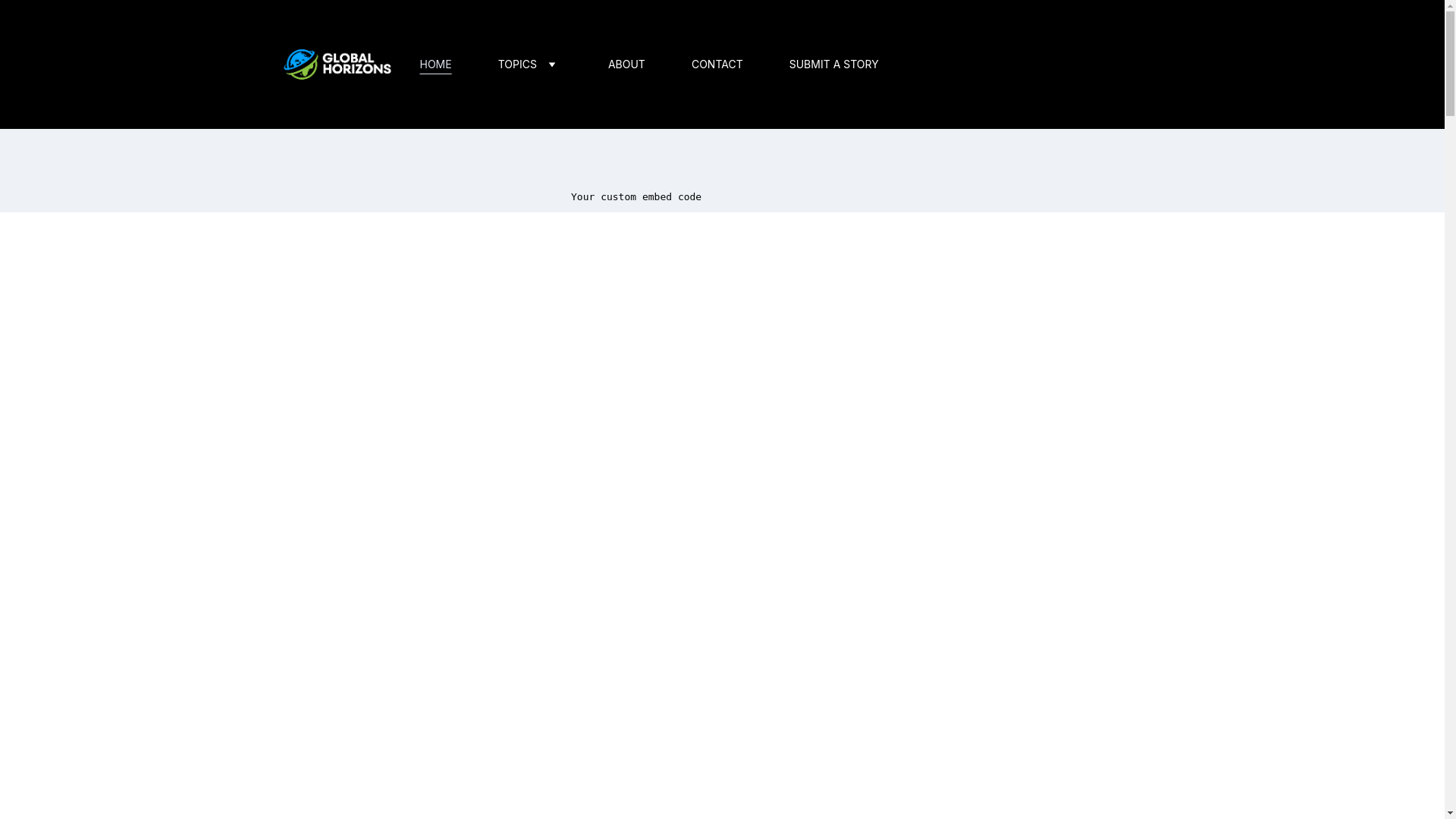 website screenshot of https://globalhorizons.blog/