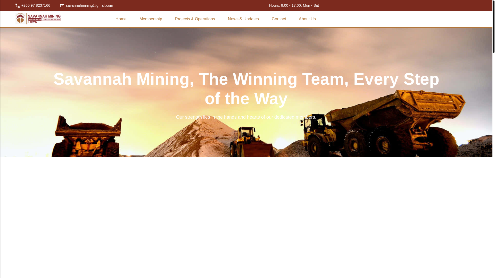 website screenshot of https://savannahmine.com/