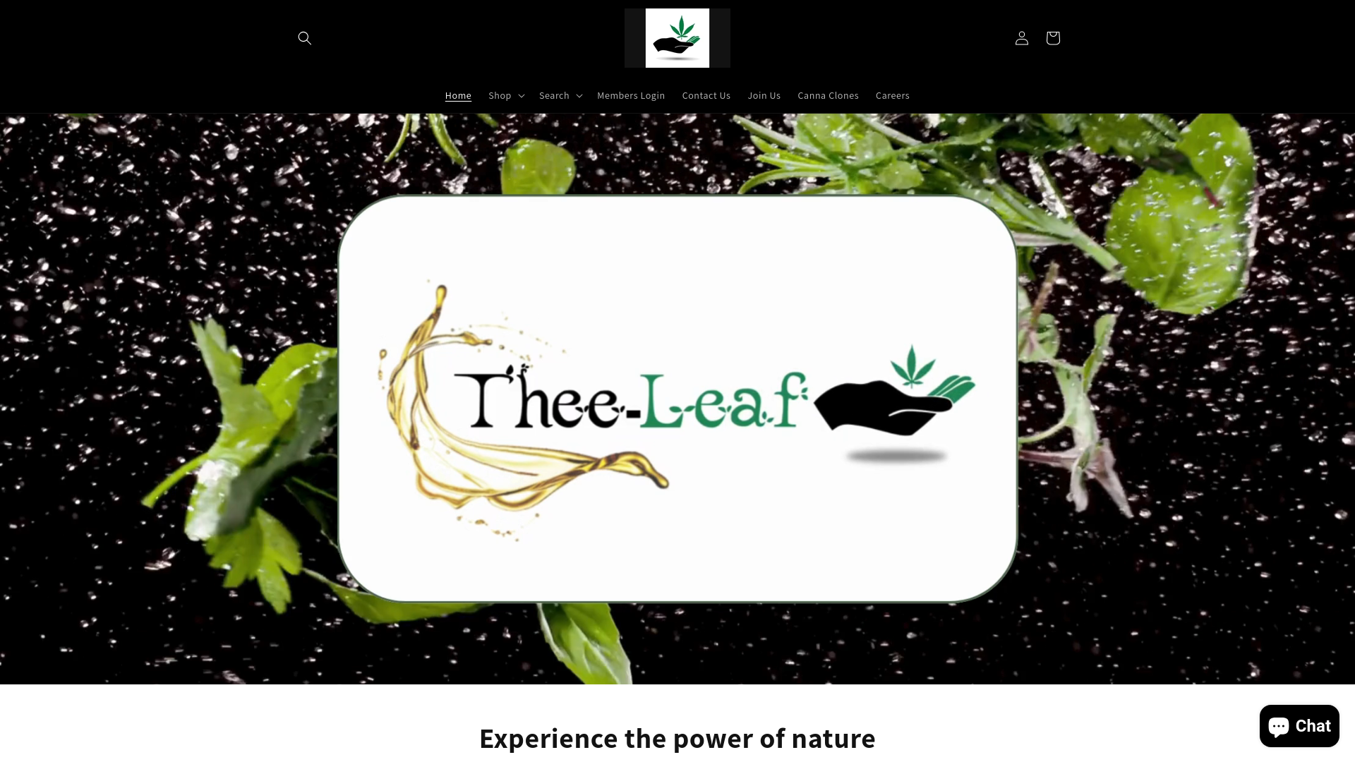 website screenshot of https://theeleaf.co.za