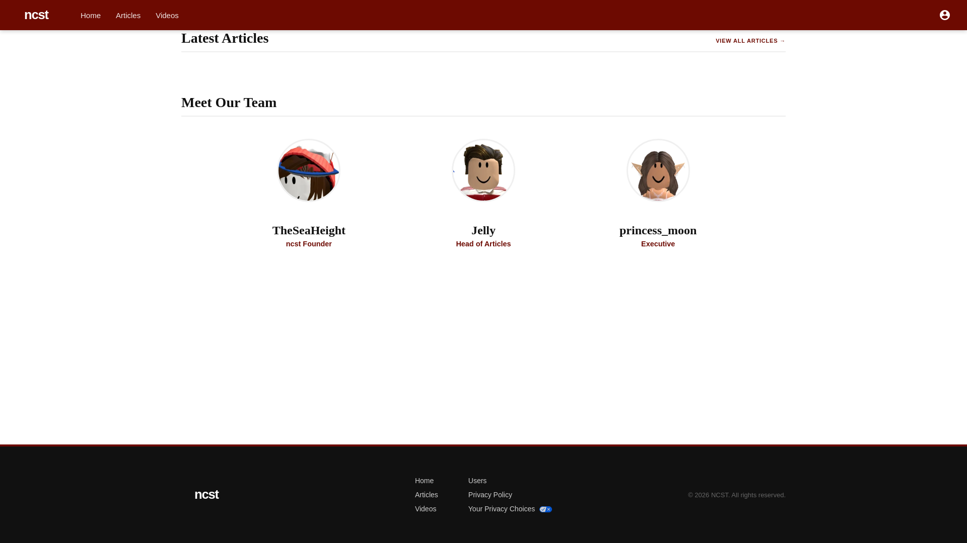 website screenshot of https://ncstrblx.com
