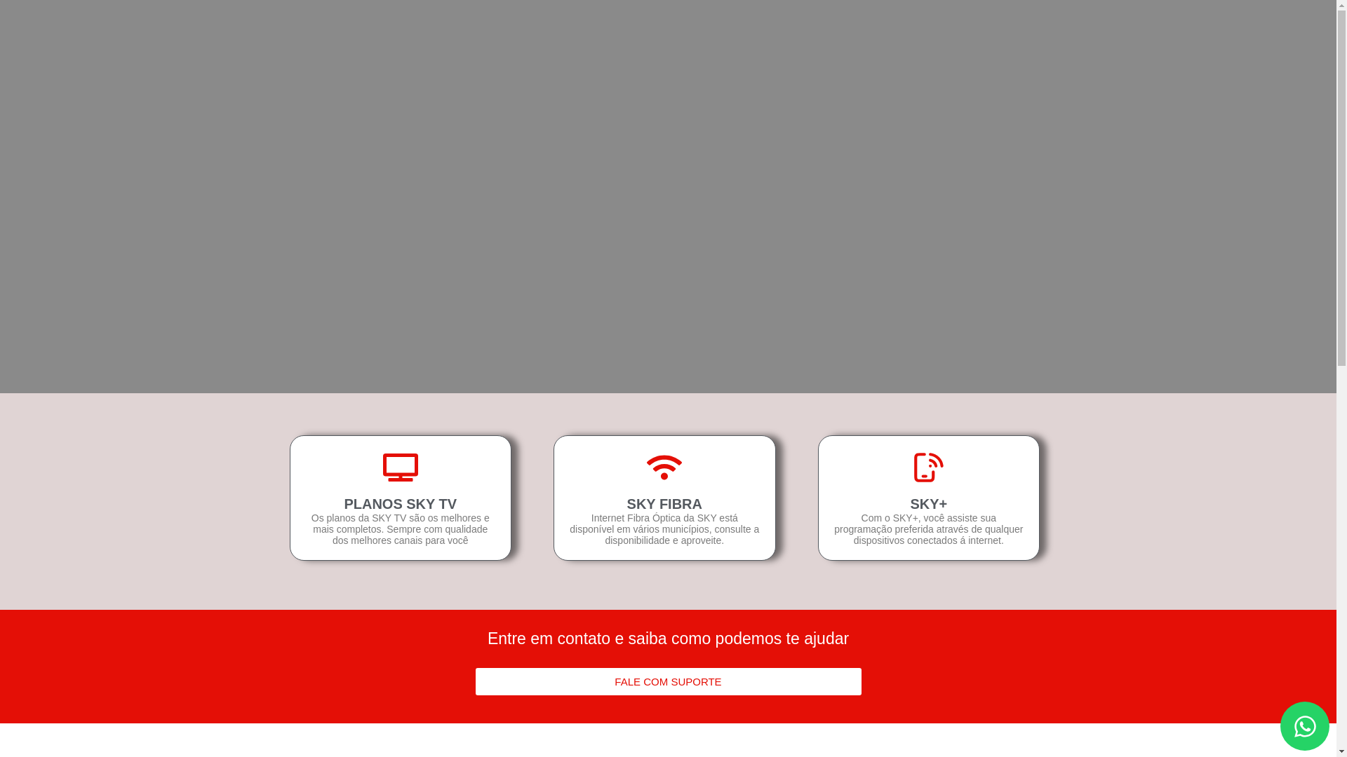 website screenshot of https://suportenavegafacil.online/