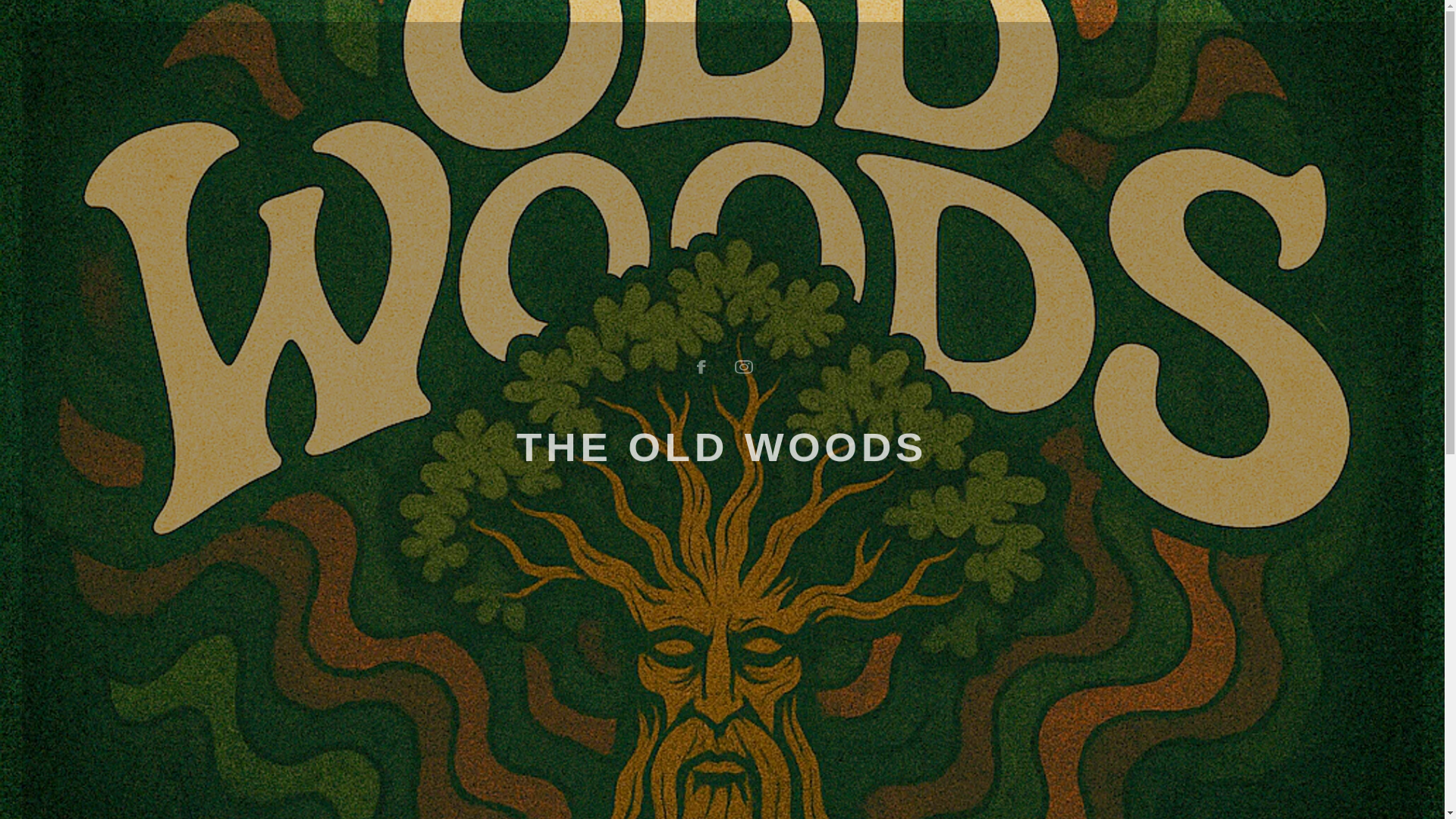 website screenshot of https://theoldwoodsband.com/