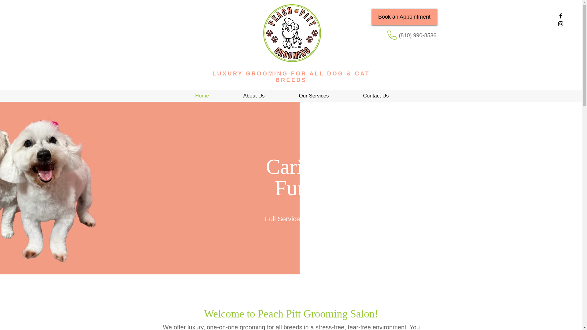 website screenshot of https://peachpittgrooming.com/