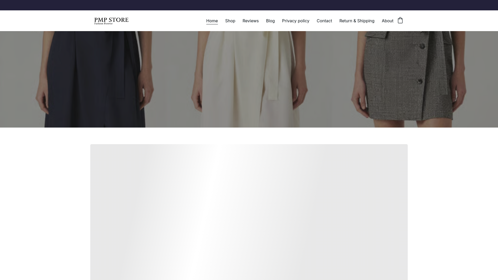 website screenshot of https://pmpstore.store