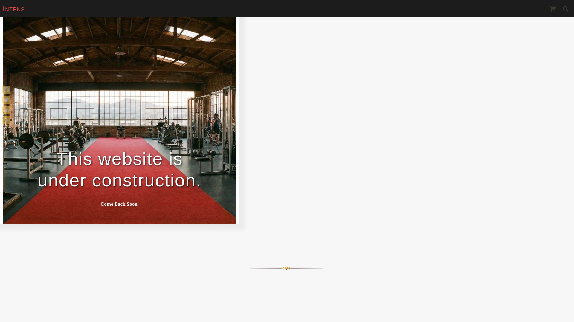 website screenshot of https://intens.in/