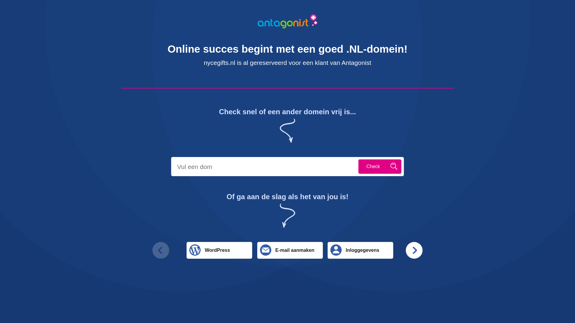 website screenshot of https://nycegifts.nl/