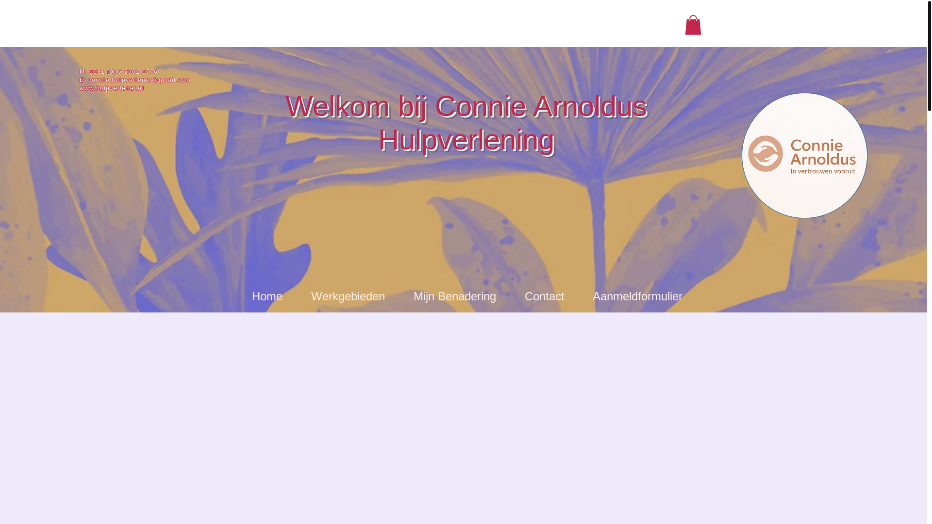 website screenshot of https://conniehulpverlener.nl/