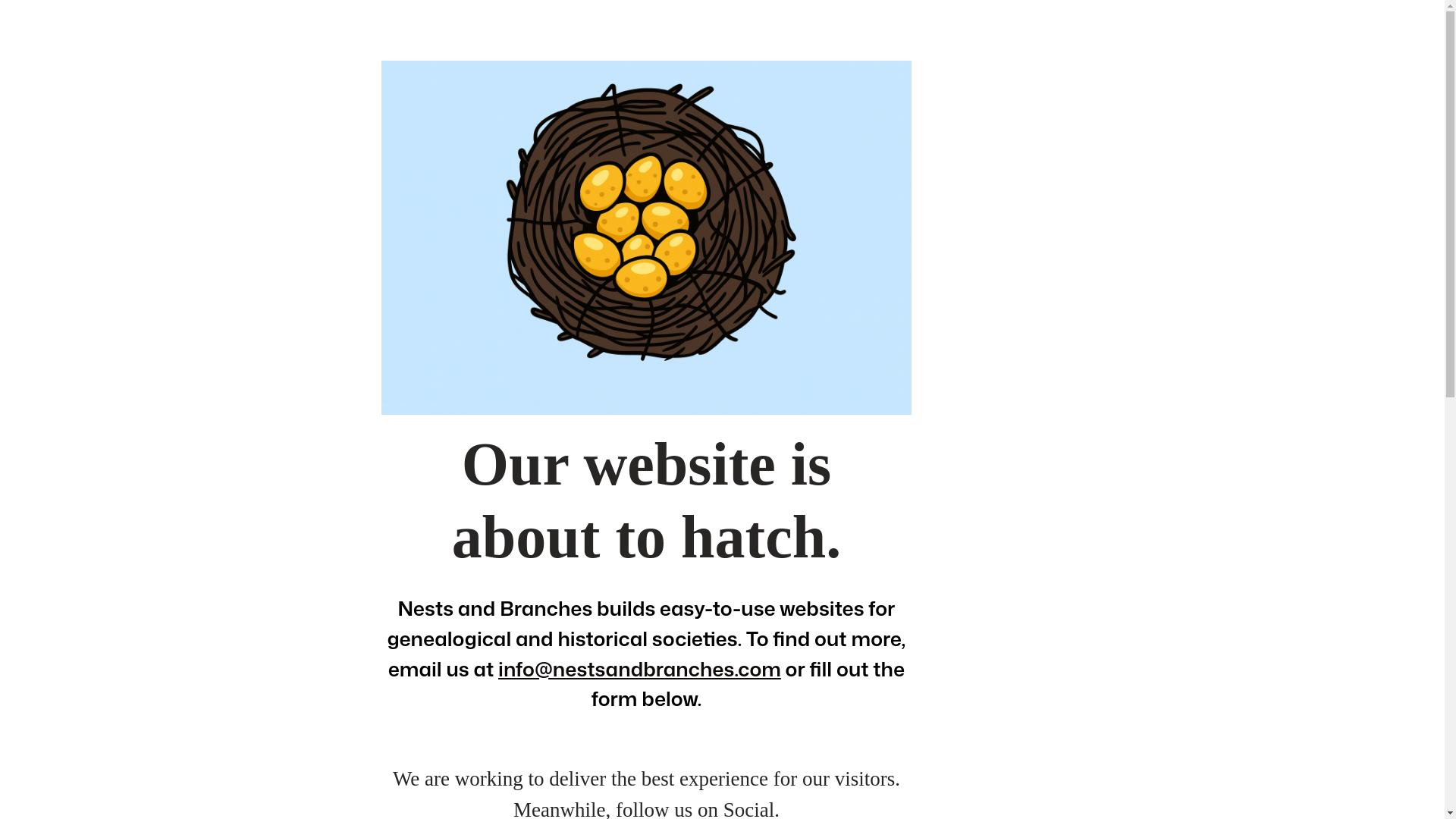 website screenshot of https://nestsandbranches.com/