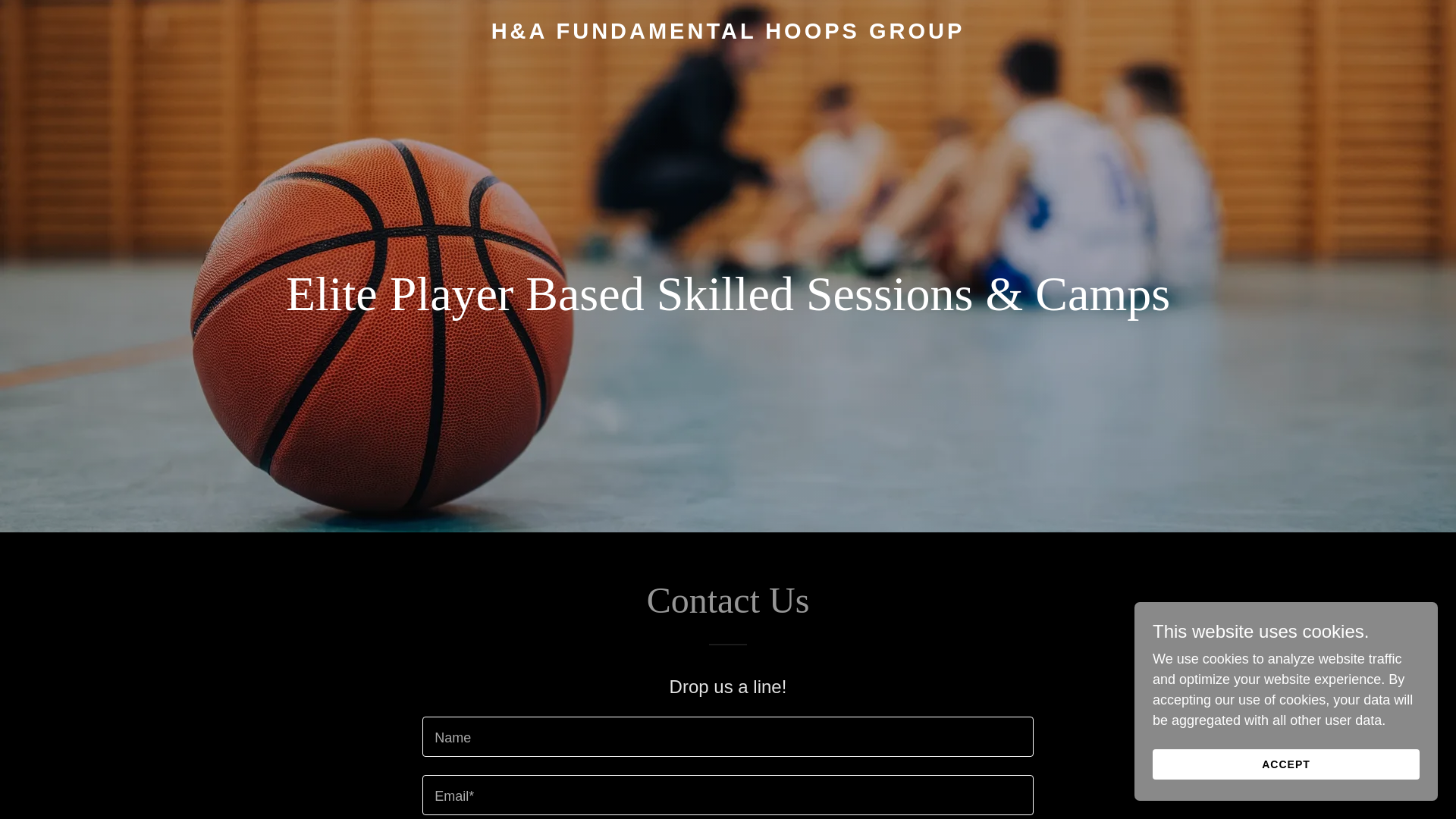 website screenshot of https://hahoopsgroup.com/