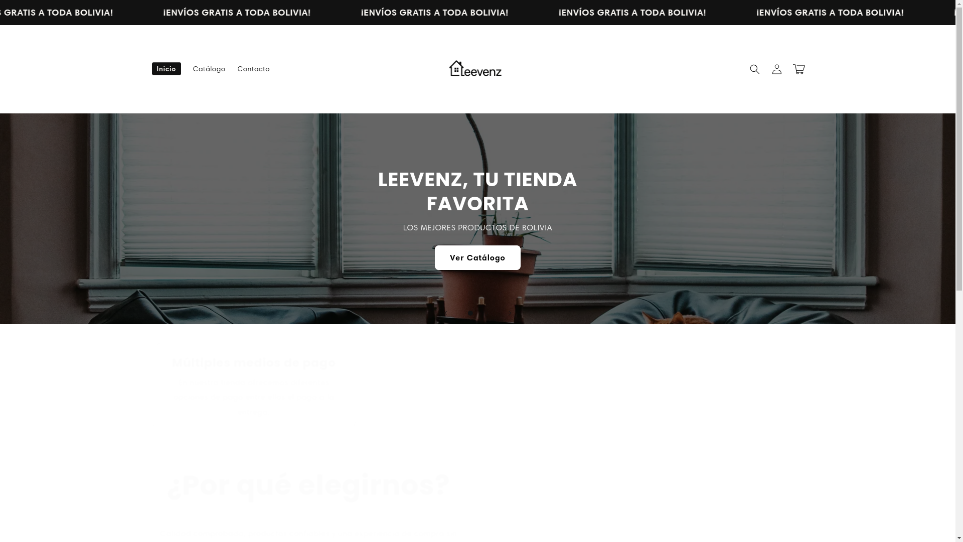 website screenshot of https://leevenzbolivia.com/