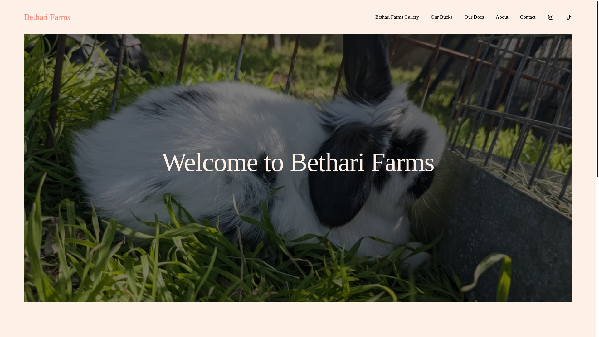 website screenshot of https://betharifarms.com/