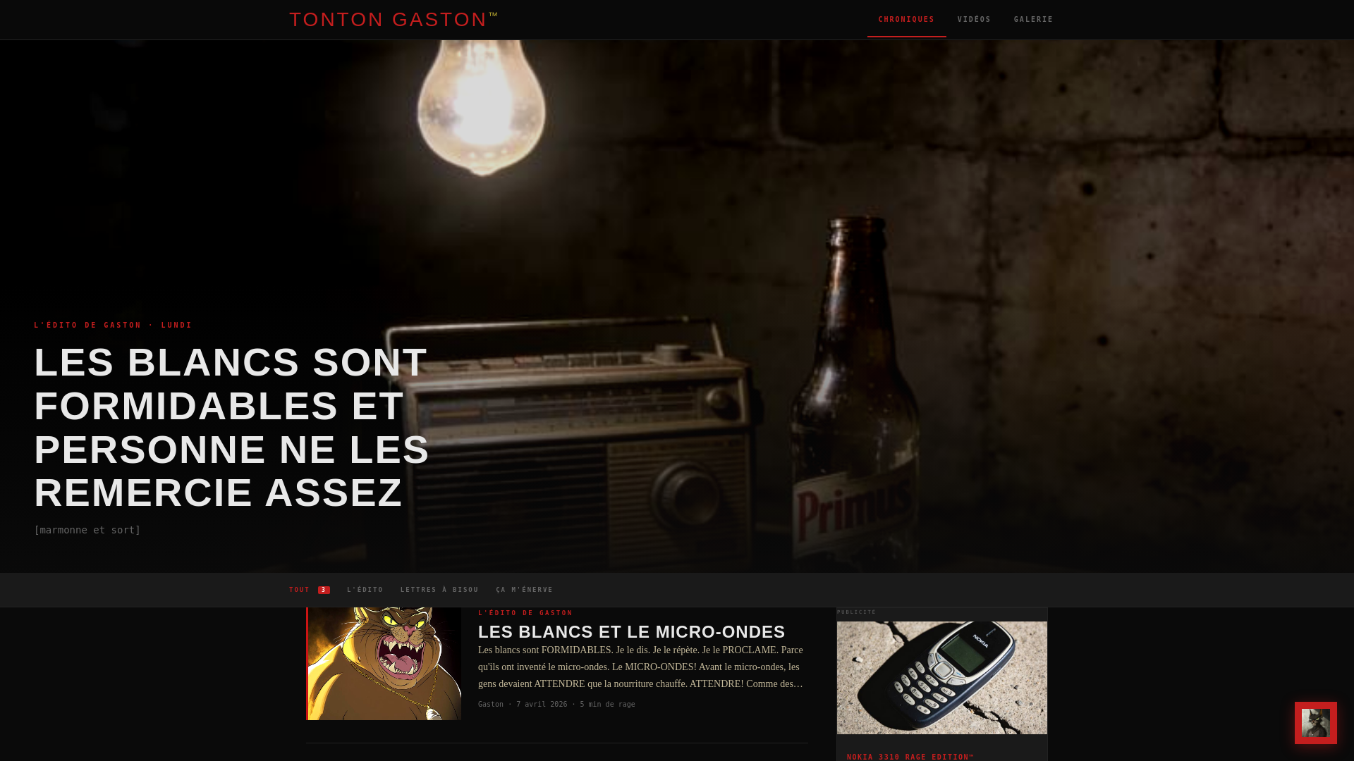 website screenshot of https://tontongaston.com
