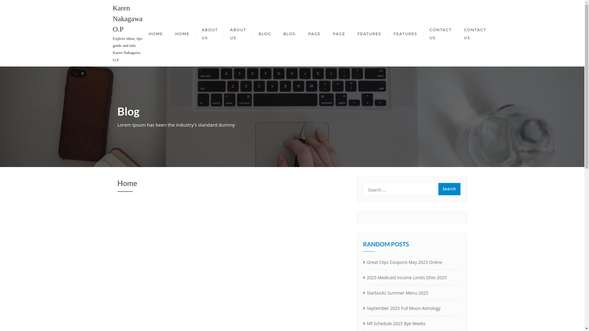 website screenshot of https://karennakagawaop.pages.dev/