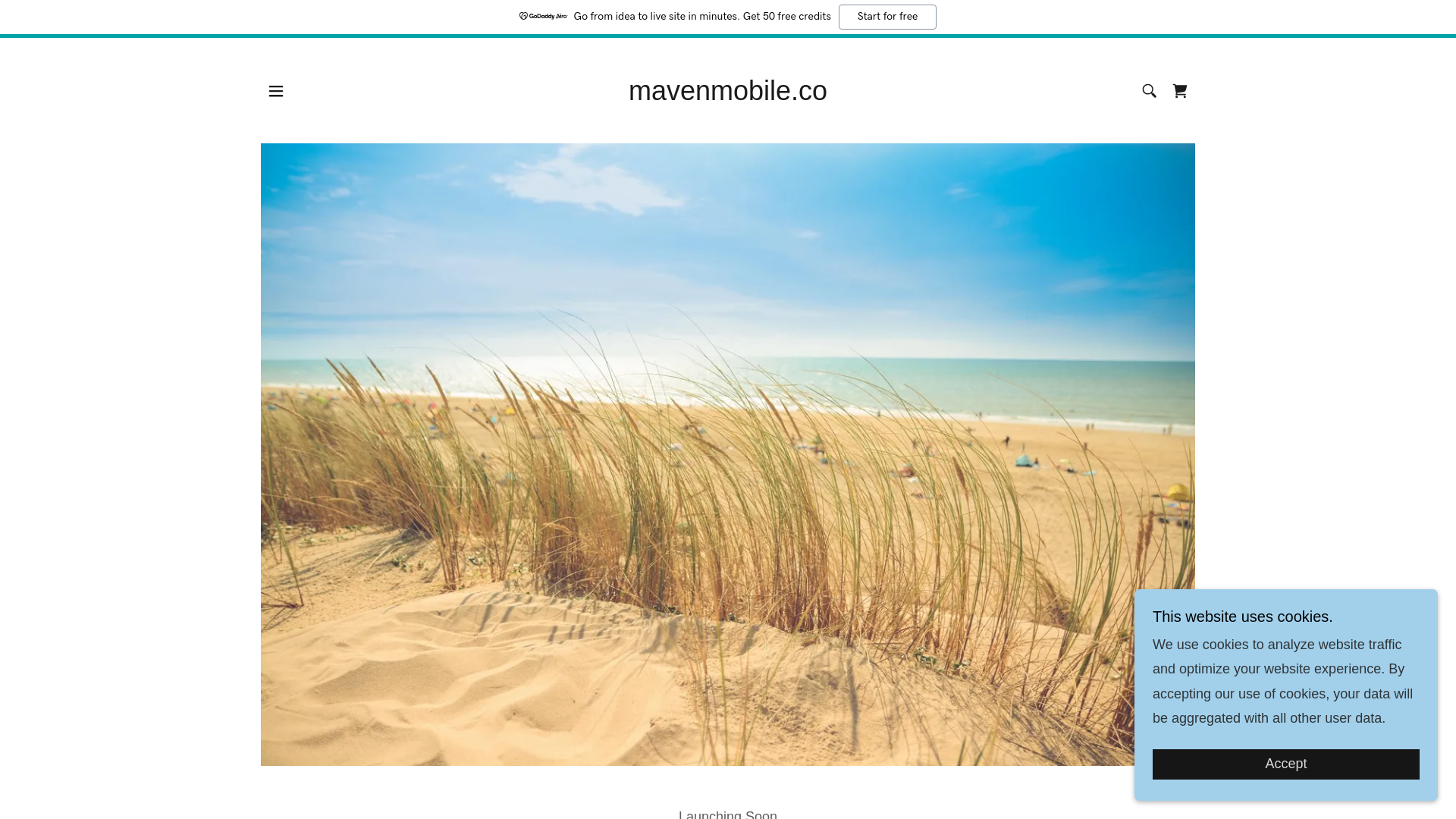 website screenshot of https://mavenmobile.co/