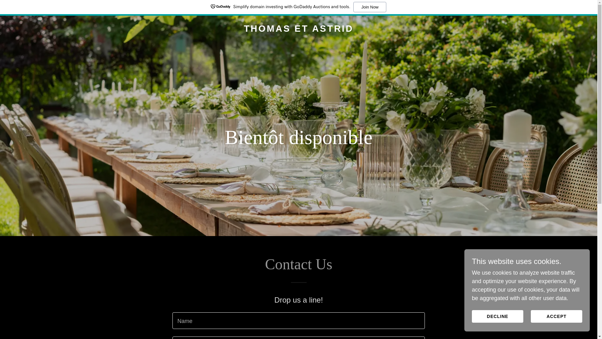 website screenshot of https://tomastrid.be/