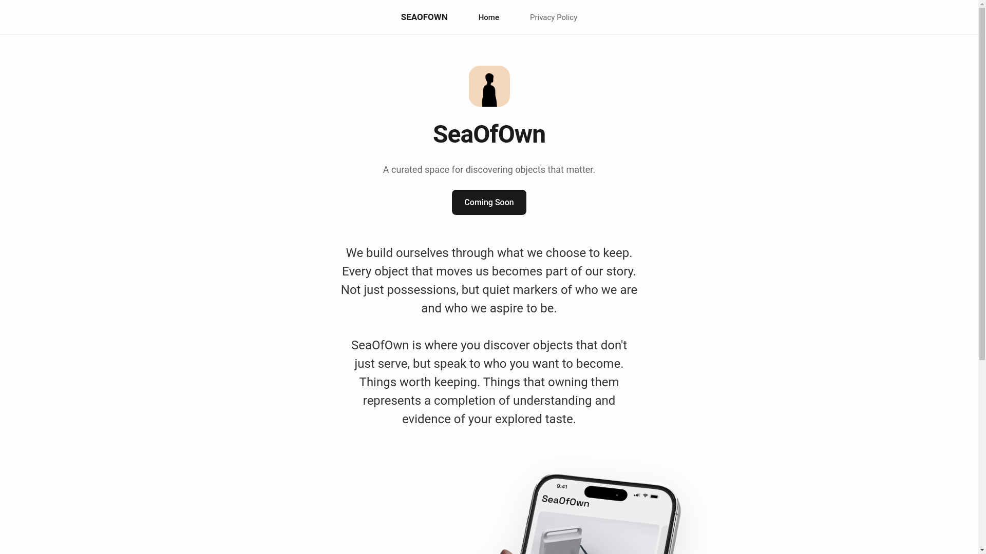 website screenshot of https://soowebsite.pages.dev/