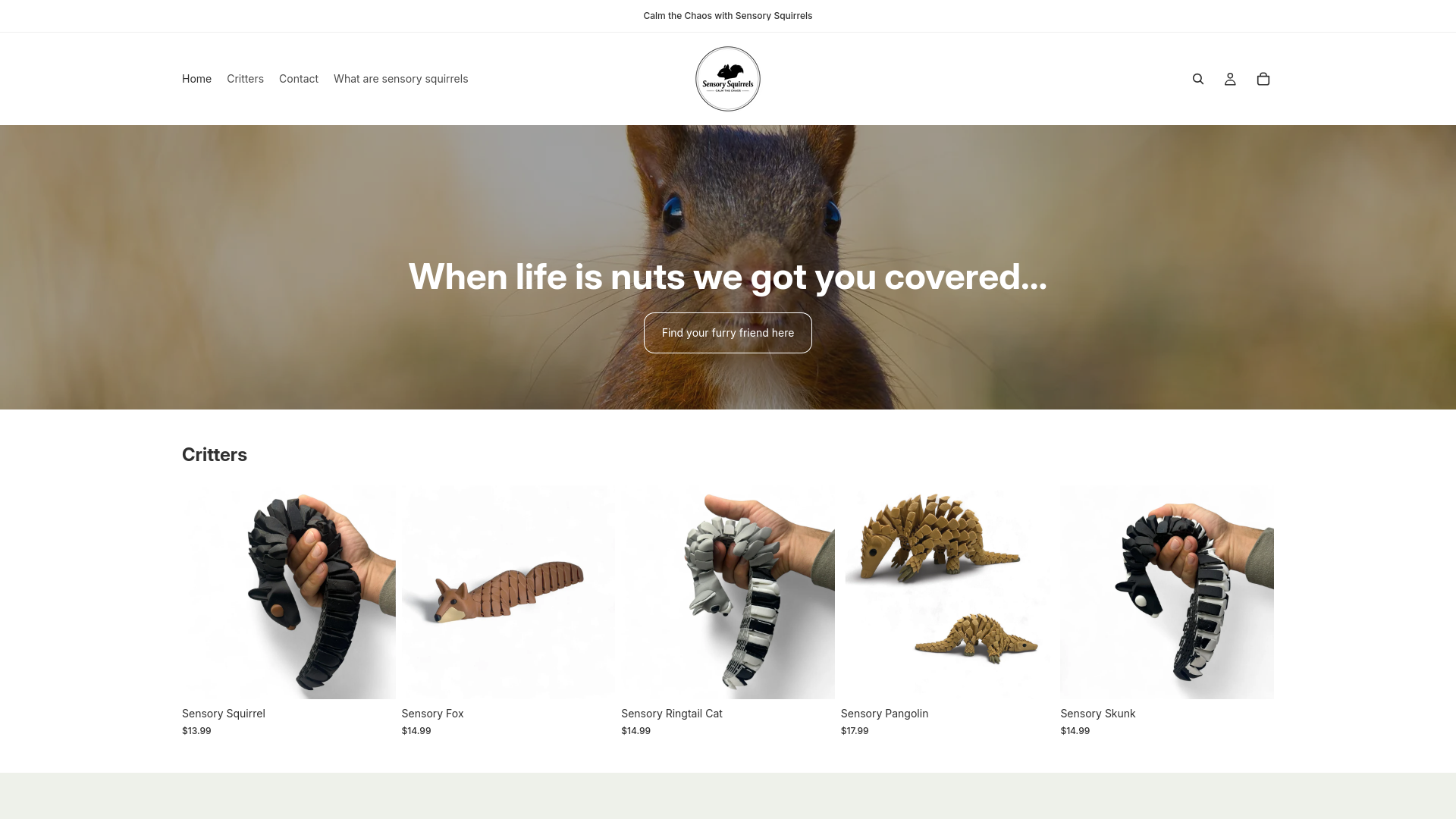 website screenshot of https://sensorysquirrels.com/